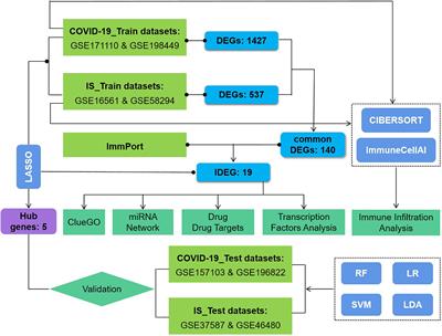 Integrated bioinformatics analysis identifies shared immune changes between ischemic stroke and COVID 19